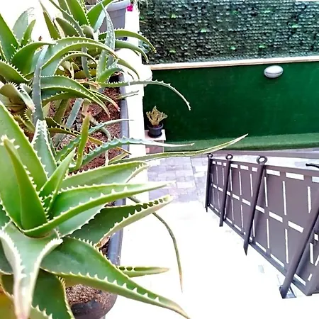 فندق مبيت وإفطار Maja